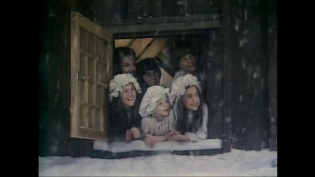 Dokumentation "Laura's Long Winters"